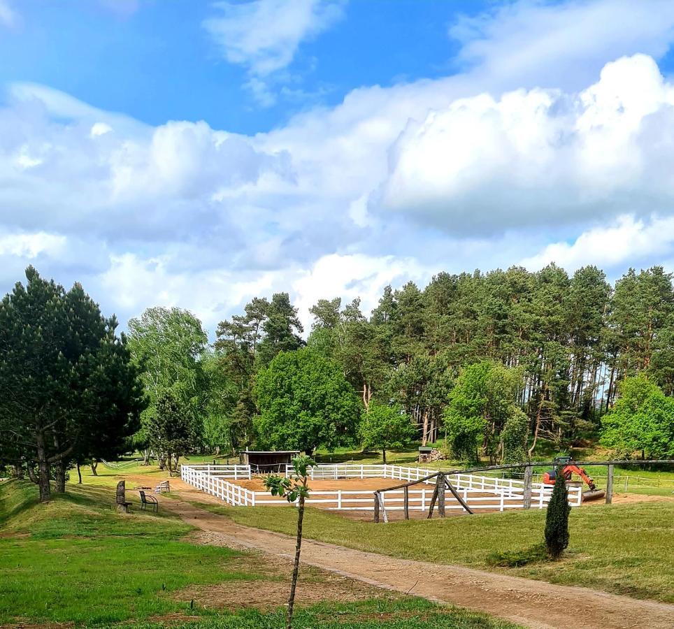 Kur-& Landhotel Borstel - Treff Dabel ภายนอก รูปภาพ