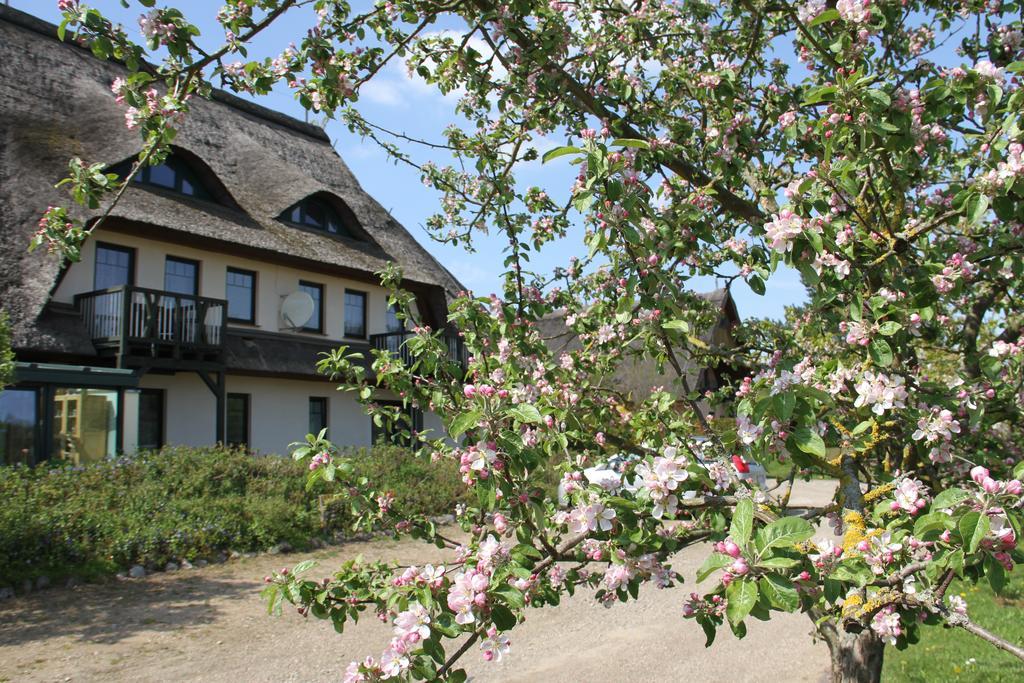 Kur-& Landhotel Borstel - Treff Dabel ภายนอก รูปภาพ